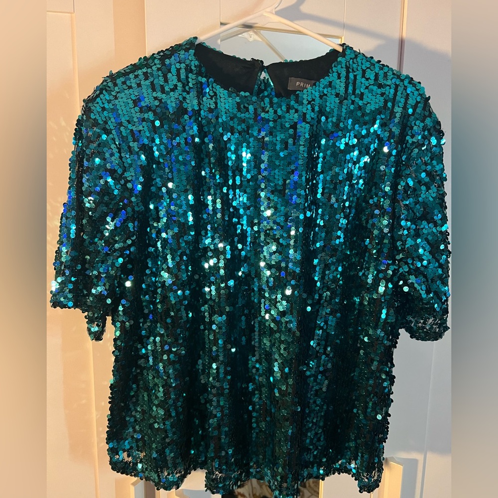 Sequin Top wore one time